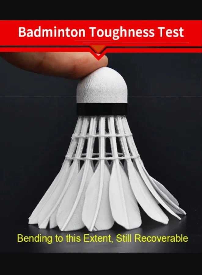 Whizz 12 PCS Class A Goose Feather Badminton Shuttlecocks - Professional Indoor/Outdoor Sports Balls (White)